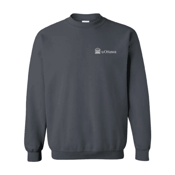 GNA Crewneck Sweatshirt - Charcoal - FR